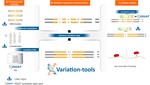 RSAT variation-tools: An accessible and flexible framework to predict the impact of regulatory variants on transcription factor binding